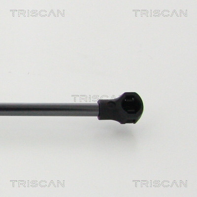 TRISCAN Gasfeder, Motorhaube