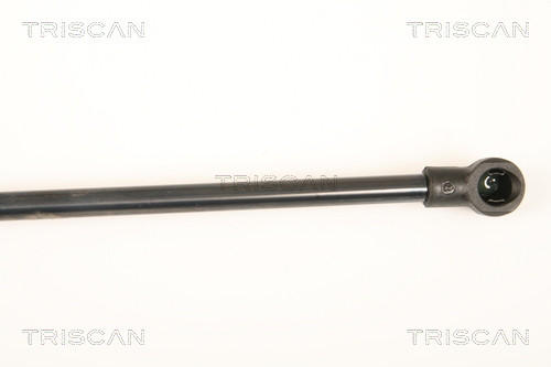 TRISCAN Gasfeder, Koffer-/Laderaum