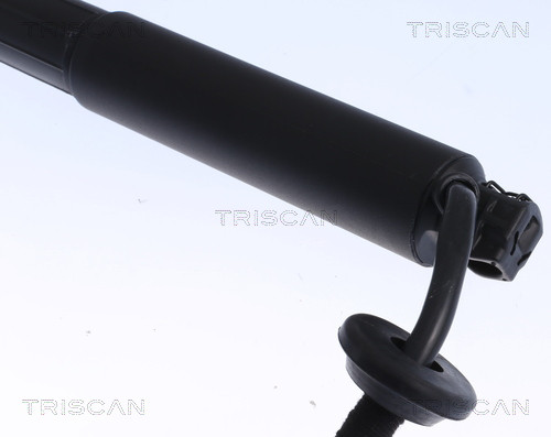 TRISCAN Gasfeder, Koffer-/Laderaum