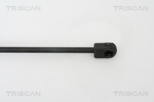 TRISCAN Gasfeder, Motorhaube