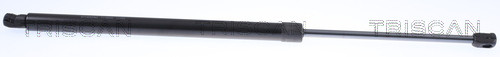 TRISCAN Gasfeder, Koffer-/Laderaum