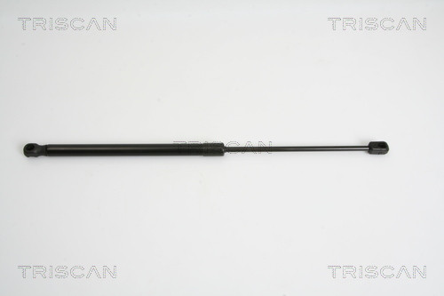 TRISCAN Gasfeder, Koffer-/Laderaum