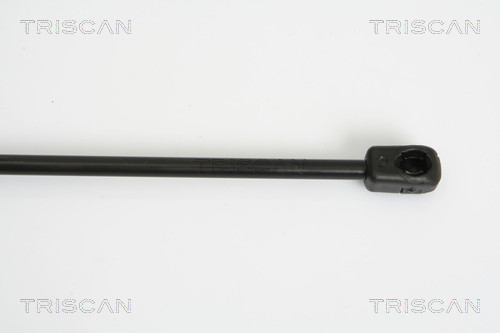 TRISCAN Gasfeder, Koffer-/Laderaum