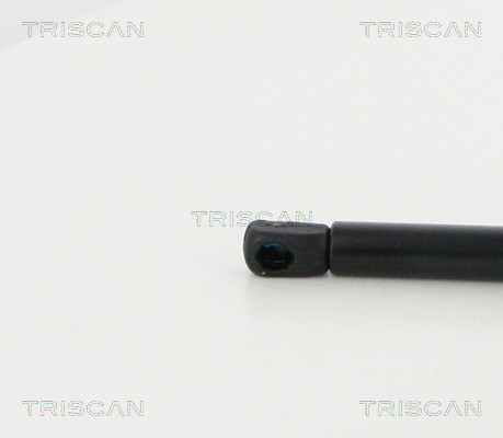 TRISCAN Gasfeder, Koffer-/Laderaum