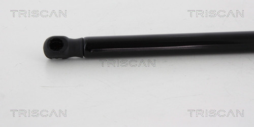 TRISCAN Gasfeder, Koffer-/Laderaum