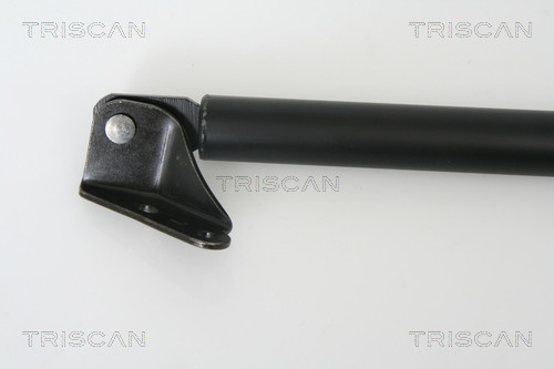 TRISCAN Gasfeder, Koffer-/Laderaum