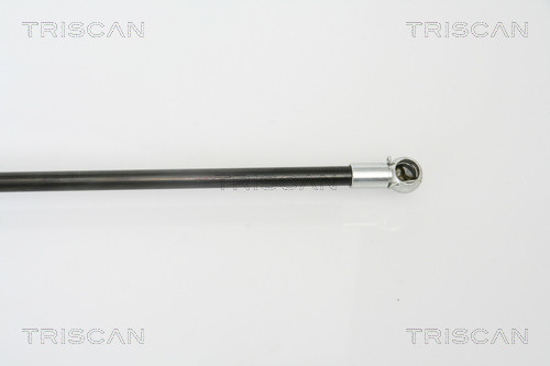 TRISCAN Gasfeder, Koffer-/Laderaum