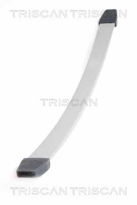 TRISCAN Federnpaket