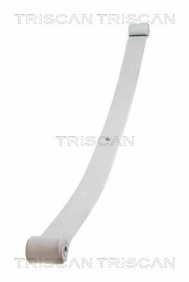 TRISCAN Federnpaket