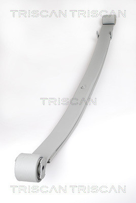 TRISCAN Federnpaket