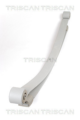 TRISCAN Federnpaket