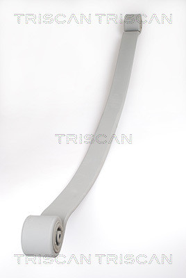 TRISCAN Federnpaket