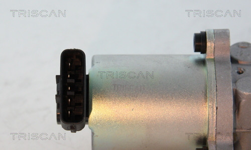 TRISCAN AGR-Ventil