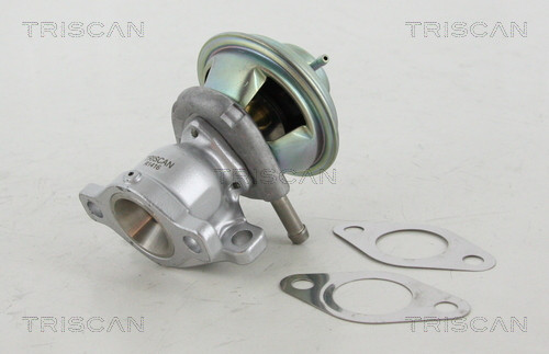 TRISCAN AGR-Ventil