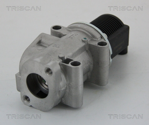 TRISCAN AGR-Ventil