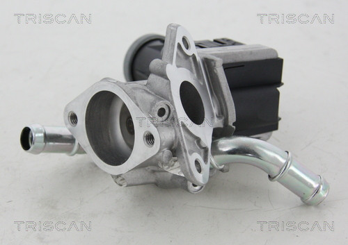 TRISCAN AGR-Ventil