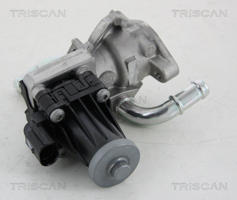 TRISCAN AGR-Ventil