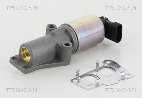 TRISCAN AGR-Ventil