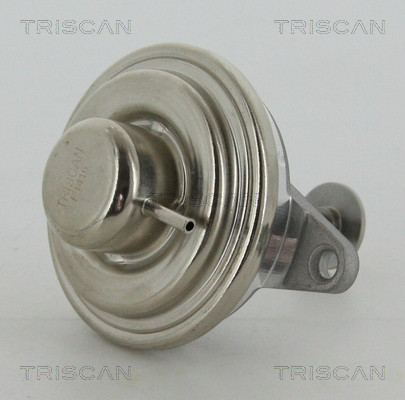 TRISCAN AGR-Ventil