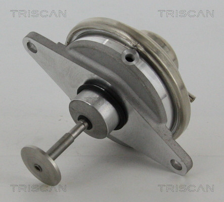 TRISCAN AGR-Ventil