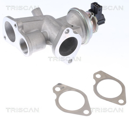 TRISCAN AGR-Ventil