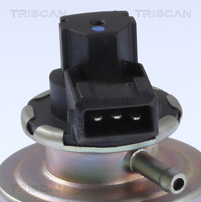 TRISCAN AGR-Ventil