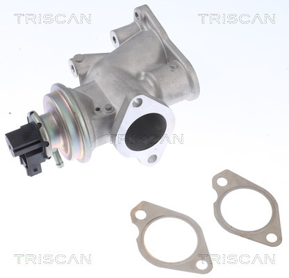 TRISCAN AGR-Ventil