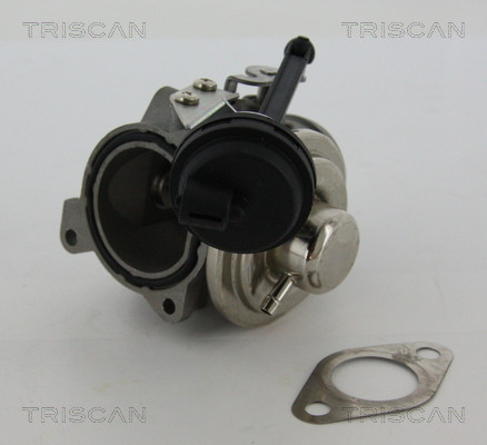 TRISCAN AGR-Ventil