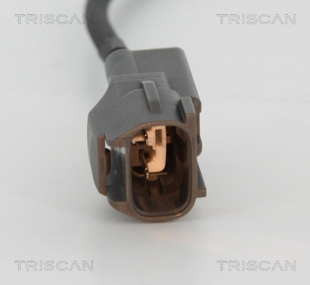 TRISCAN Impulsgeber, Kurbelwelle