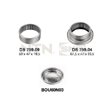 SNR Lagerung, Achskörper