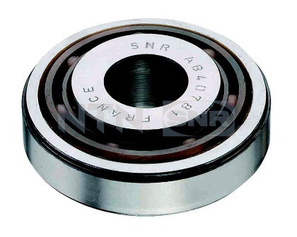 SNR Reparatursatz, Federbeinstützlager