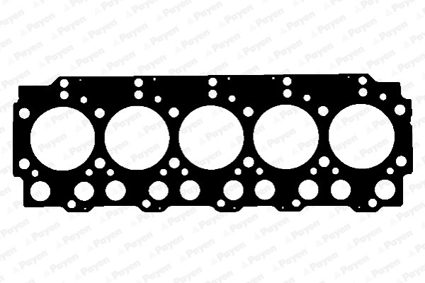PAYEN Dichtung, Zylinderkopf