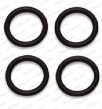 PAYEN Dichtungssatz, Ansaugkrümmer