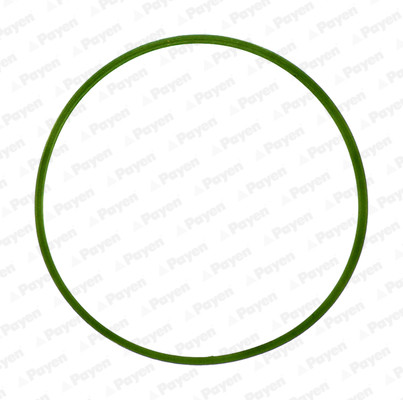 PAYEN Dichtung, Ansaugkrümmer