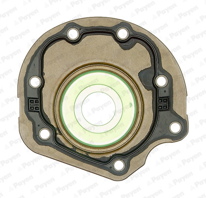 PAYEN Wellendichtring, Kurbelwelle