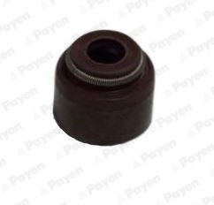 PAYEN Dichtring, Ventilschaft