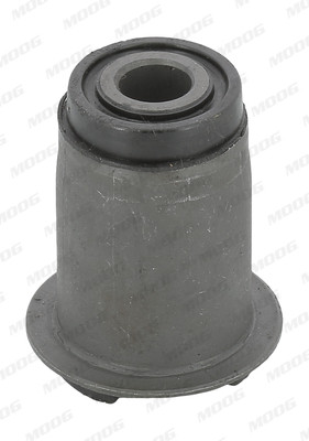 MOOG Lagerung, Lenker