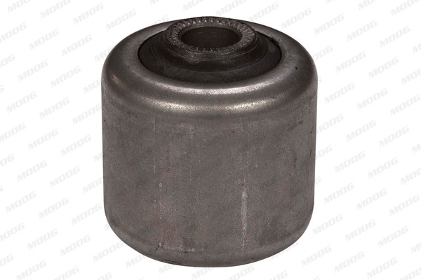 MOOG Lagerung, Lenker