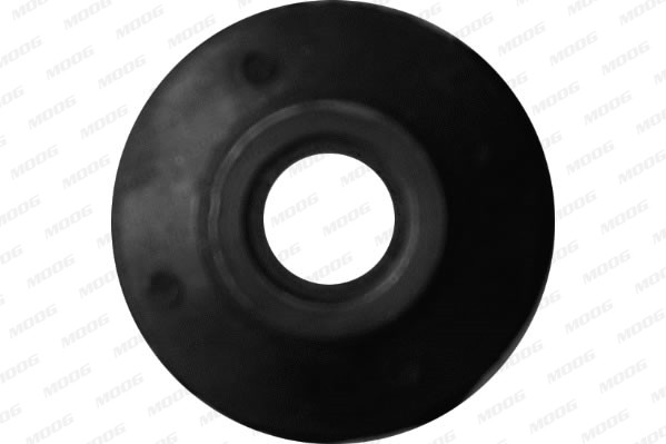 MOOG Lagerung, Lenker