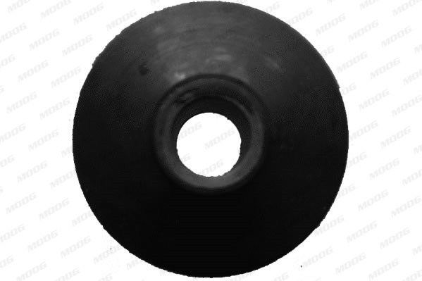 MOOG Lagerung, Lenker