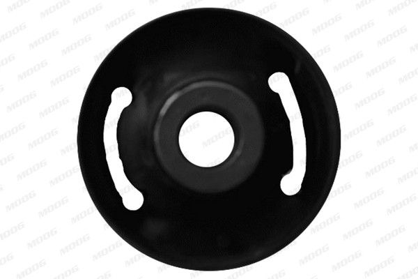 MOOG Lagerung, Lenker