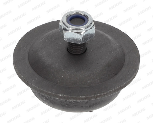 MOOG Lagerung, Lenker