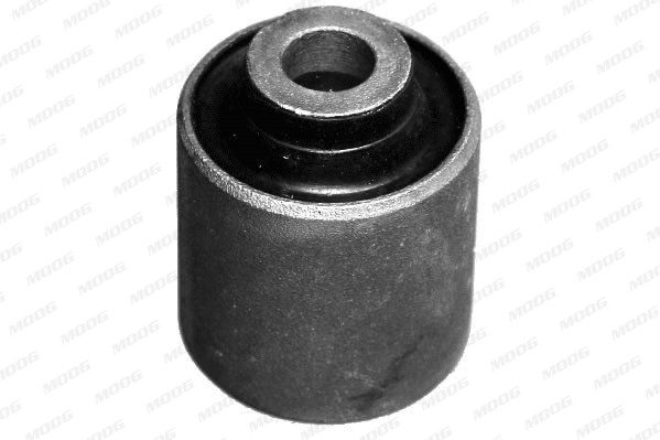 MOOG Lagerung, Lenker