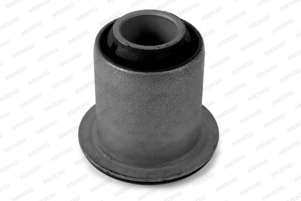 MOOG Lagerung, Lenker