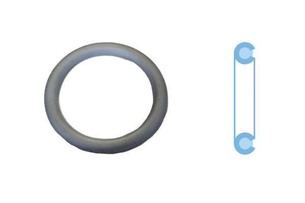 CORTECO Dichtring, Ölablassschraube
