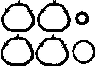CORTECO Dichtung, Ansaugkrümmer