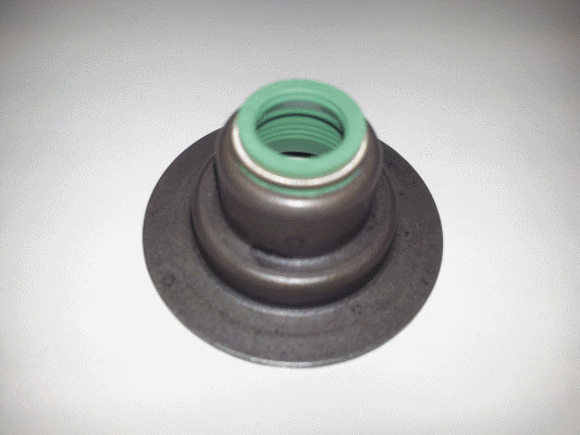 CORTECO Dichtring, Ventilschaft