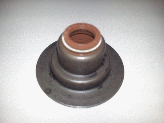 CORTECO Dichtring, Ventilschaft
