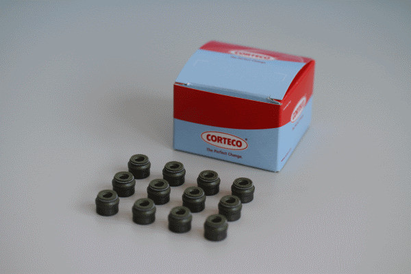 CORTECO Dichtungssatz, Ventilschaft