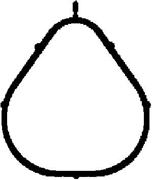 CORTECO Dichtung, Ansaugkrümmer